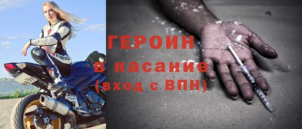 стаф Осинники