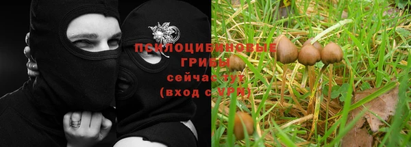 прущий лед Армянск