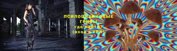 бутират Арсеньев