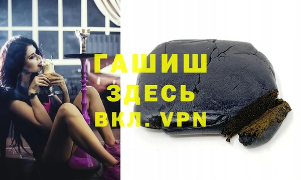 стаф Осинники